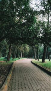 A scenic path through a green park.